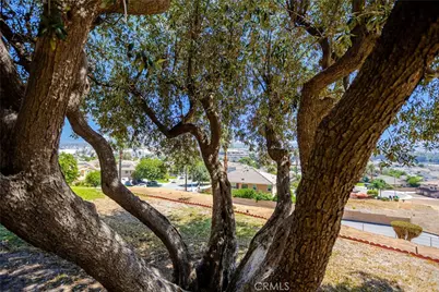 299 Anderegg, Colton, CA 92324 - Photo 21