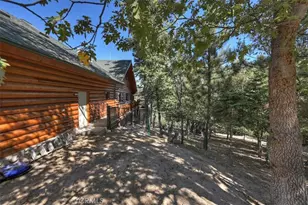 32412 Snow Cactus Ct, Running Springs, CA 92382 - Photo 49