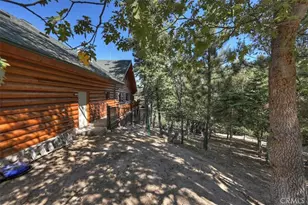 32412 Snow Cactus Ct, Running Springs, CA 92382 - Photo 49
