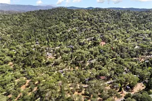 1700 S Way, Lake Arrowhead, CA 92352 - Photo 41