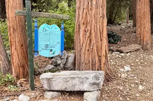 9211 Corral, Forest Falls, CA 92339 - Photo 9