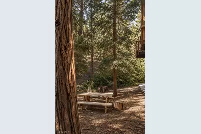 385 Birchwood, Lake Arrowhead, CA 92352 - Photo 25