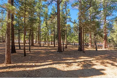 1520 Fallbrook Court, Big Bear City, CA 92314 - Photo 33