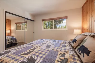 667 Lintner Road, Big Bear Lake, CA 92315 - Photo 13