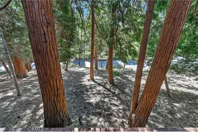232 Sunset, Lake Arrowhead, CA 92352 - Photo 51