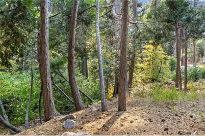 0 Cottage Grove Road, Lake Arrowhead, CA 92352 - Photo 7