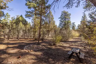 719 Pine, Sugarloaf, CA 92386 - Photo 27
