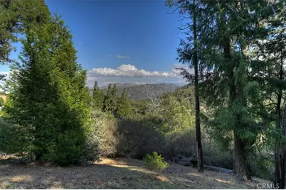 729 Minty Pine Drive, Cedarpines Park, CA 92322 - Photo 47