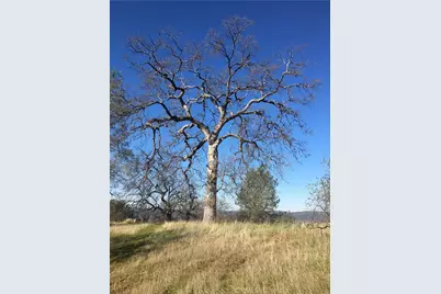 3302 Windy Hollow Road, Mariposa, CA 95338 - Photo 9