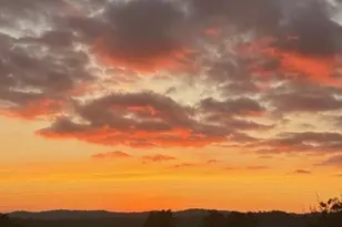 3302 Windy Hollow Rd, Mariposa, CA 95338 - Photo 11