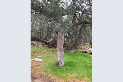 3302 Windy Hollow Road, Mariposa, CA 95338 - Photo 7