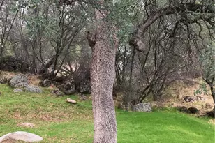 3302 Windy Hollow Rd, Mariposa, CA 95338 - Photo 7