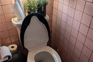 203 W 77th St St, Los Angeles, CA 90003 - Photo 37