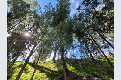 4040 Piedmont Drive #356, Highland, CA 92346 - Photo 43