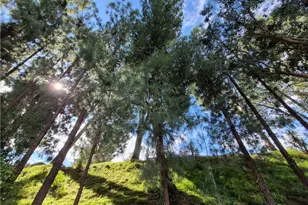 4040 Piedmont Dr, Highland, CA 92346 - Photo 43