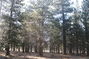 2818 Erwin Ranch Rd, Big Bear City, CA 92314 - Photo 1