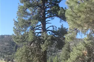 2824 Erwin Ranch Rd, Big Bear City, CA 92314 - Photo 1