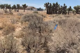 0 Tumbleweed, Phelan, CA 92371 - Photo 1