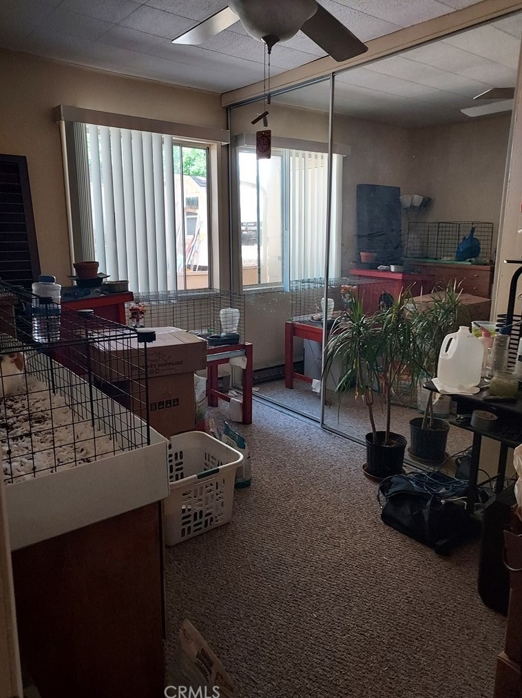13833 Hazel Dr, Lytle Creek CA  92358 exterior
