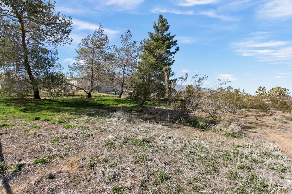 11433 Buttemere Rd, Phelan CA  92371-4245 exterior