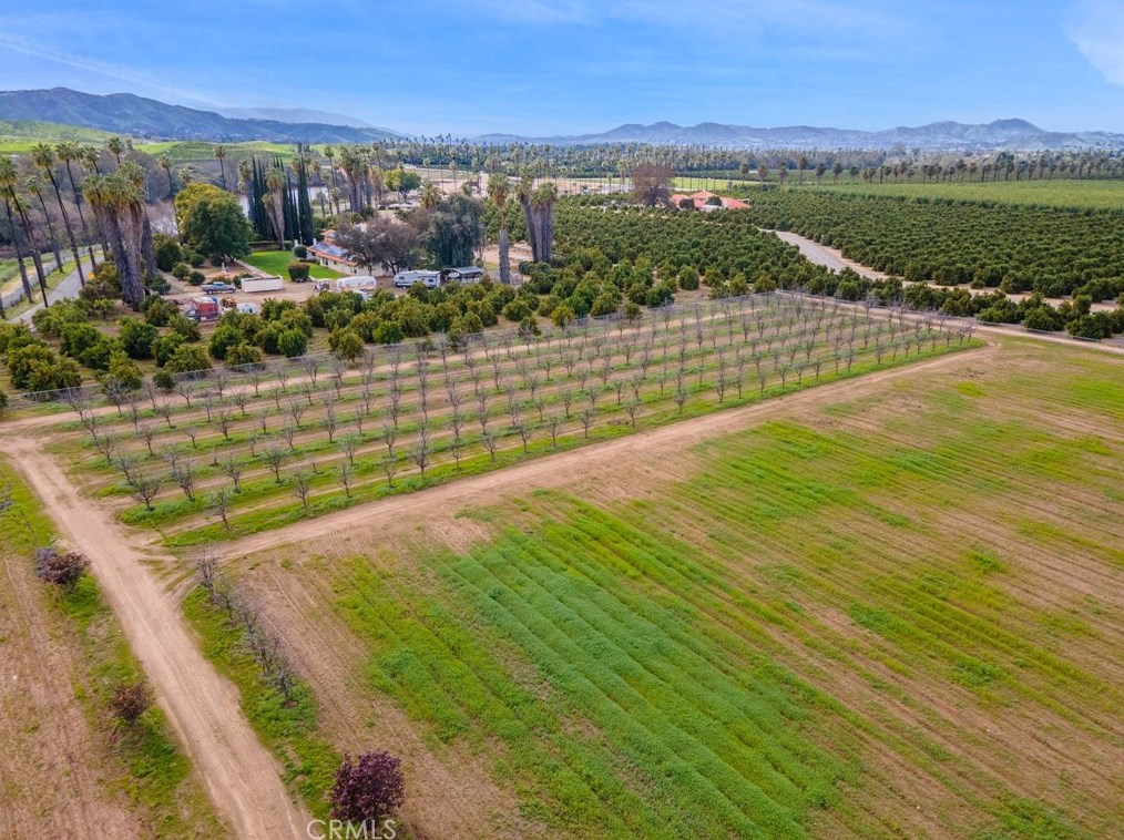 1796 Irving St, Riverside CA  92504-5524 exterior