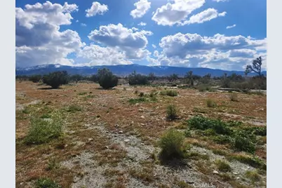 2647 Minero Road, Pinon Hills, CA 92372 - Photo 11