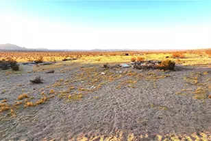 38538 Apache Ave, Newberry Springs, CA 92365 - Photo 11