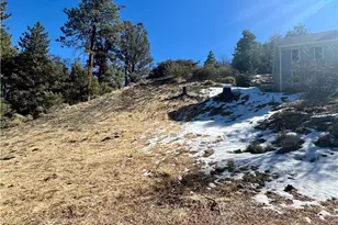 5411 Shirley J Ln, Wrightwood, CA 92397 - Photo 1