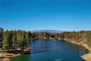 33389 Wild Cherry Dr, Green Valley Lake, CA 92341 - Photo 37