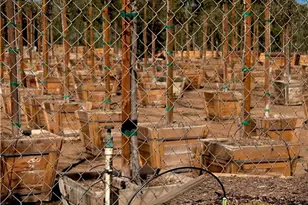 21290 Ellis Ave, Perris, CA 92570 - Photo 47