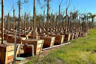 21290 Ellis Ave, Perris, CA 92570 - Photo 23