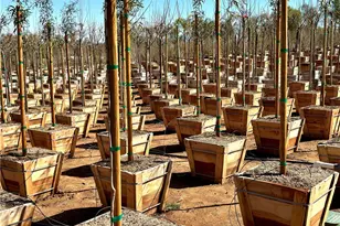 21290 Ellis Ave, Perris, CA 92570 - Photo 25