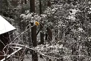 25370 Point Of Rocks Rd, Idyllwild, CA 92549 - Photo 3