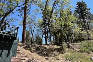 33796 Cedar Pines Ln, Green Valley Lake, CA 92341 - Photo 33