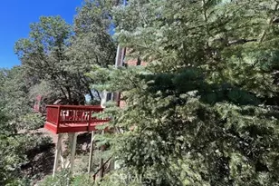 33474 Angeles Dr, Green Valley Lake, CA 92341 - Photo 53