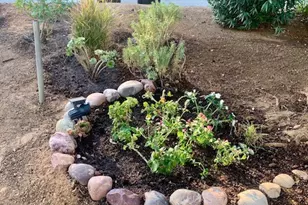 28480 Red Gum Dr, Lake Elsinore, CA 92532 - Photo 29