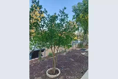 28480 Red Gum Drive, Lake Elsinore, CA 92532 - Photo 31