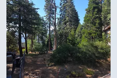 30778 Live Oak Drive, Running Springs, CA 92382 - Photo 25