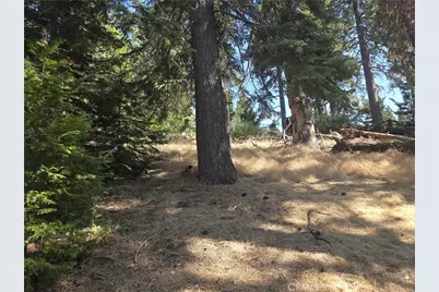 30778 Live Oak Drive, Running Springs, CA 92382 - Photo 33