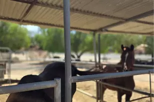 18251 Northstar Ave, Riverside, CA 92508 - Photo 23