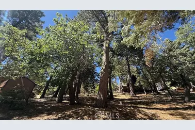 33112 Juniper Lane, Green Valley Lake, CA 92341 - Photo 9