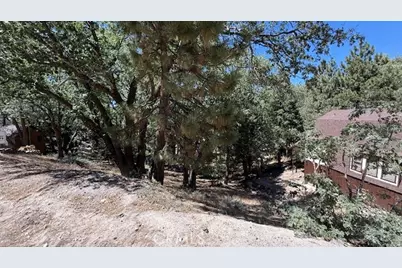 736 Dahlia Drive, Green Valley Lake, CA 92341 - Photo 9