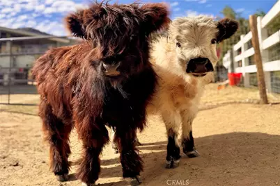 22053 Highland St, Wildomar, CA 92595 - Photo 7