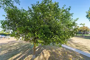 8925 Penny, Riverside, CA 92503 - Photo 47