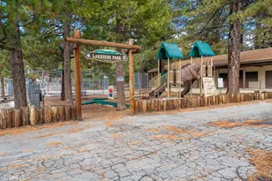 33332 Holcomb Creek, Green Valley Lake, CA 92341 - Photo 9