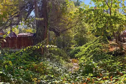 21 Mt Baldy Road, Mount Baldy, CA 91759 - Photo 49