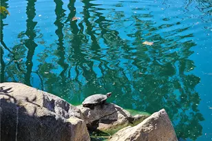 33340 Windmill, Wildomar, CA 92595 - Photo 27