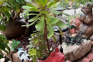 320 W Walnut Street, Ontario, CA 91762 - Photo 45