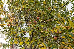 39287 Pine St, Yucaipa, CA 92399 - Photo 45