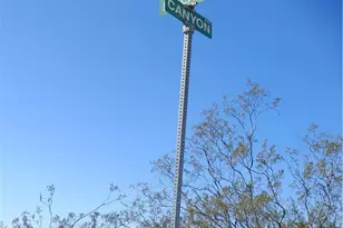 9313 Polaris, Morongo Valley, CA 92256 - Photo 39